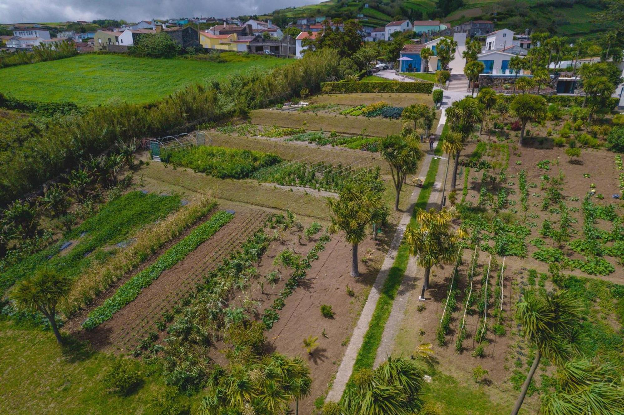Bed and Breakfast Idonea Ponta Garca Esterno foto